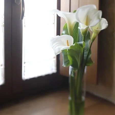 O Plantio Country house